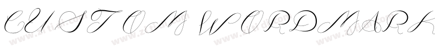 CUSTOM WORDMARK字体转换